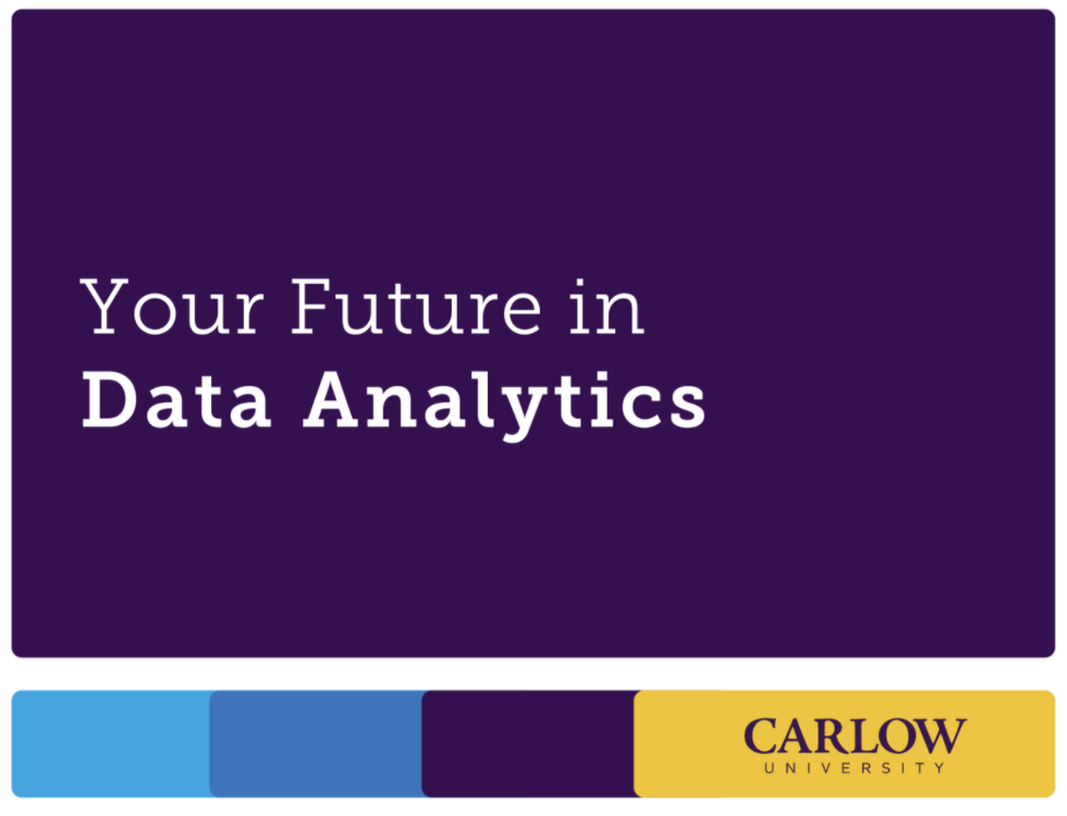 Your Future in Data Analytics preview